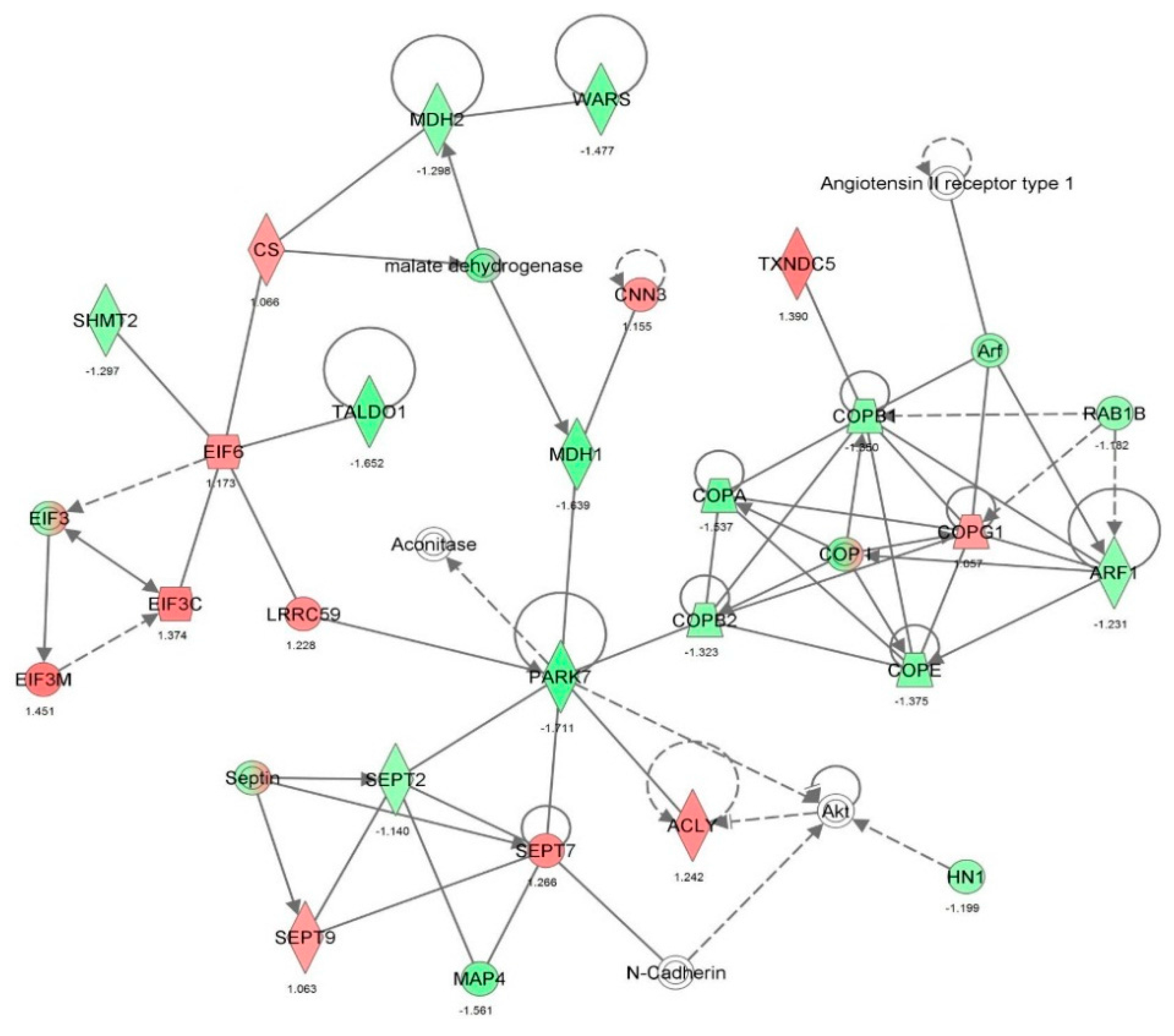 Molecules 21 00148 g007
