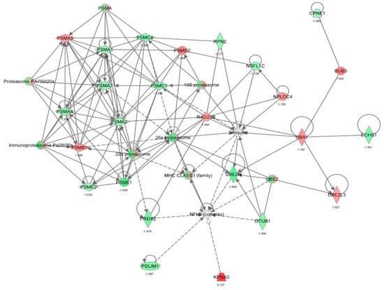Molecules 21 00148 g008 550