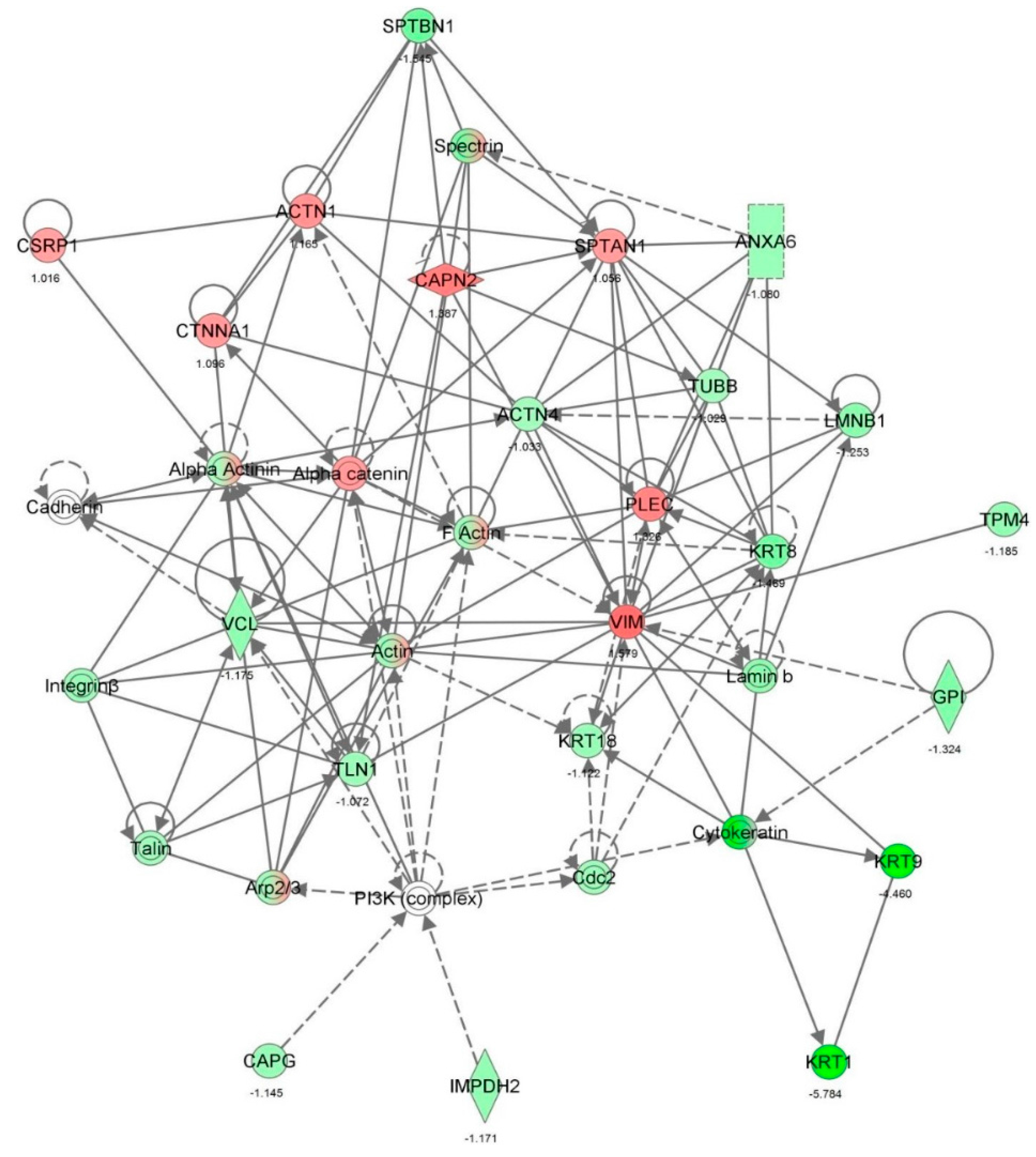 Molecules 21 00148 g014