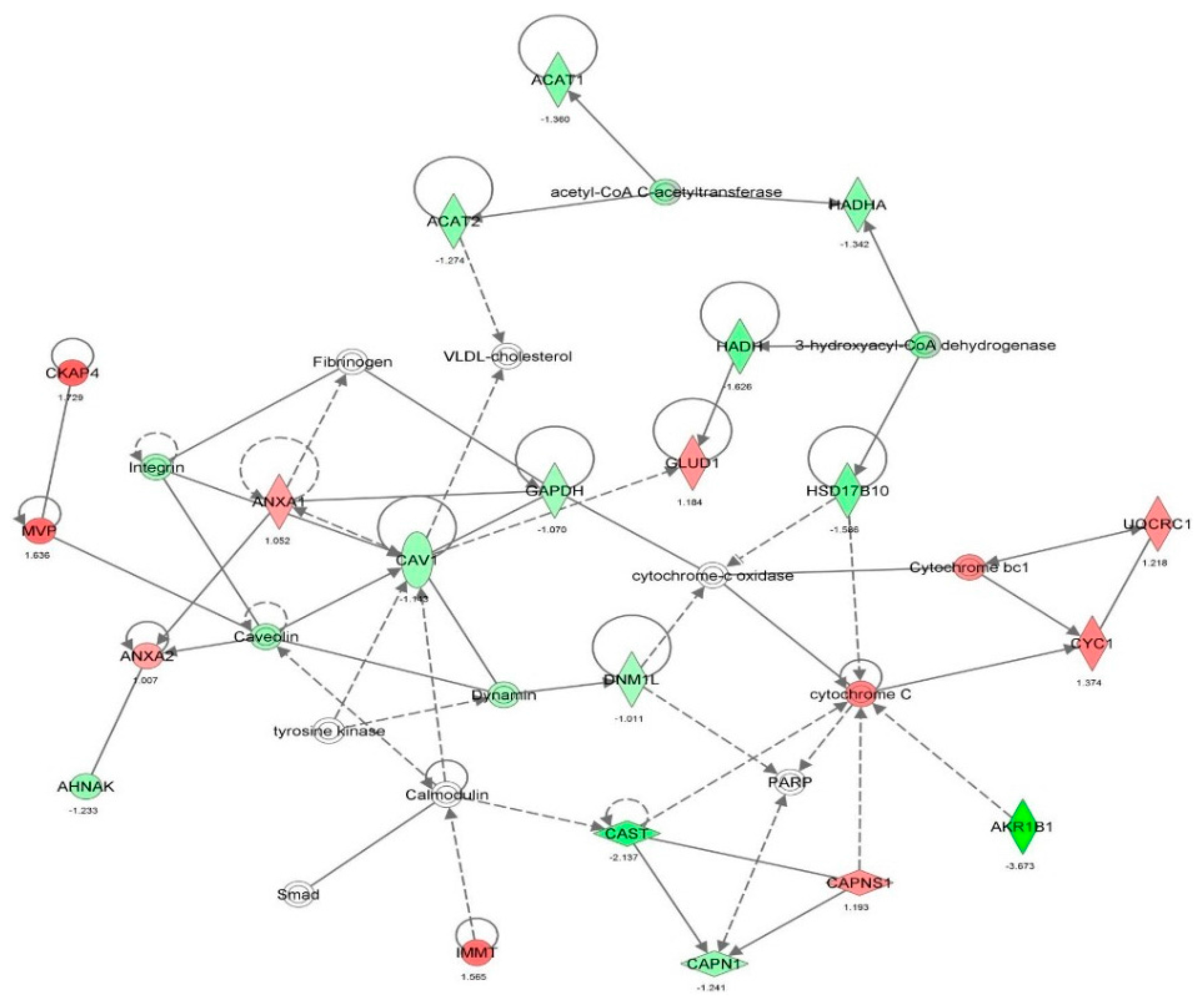 Molecules 21 00148 g016