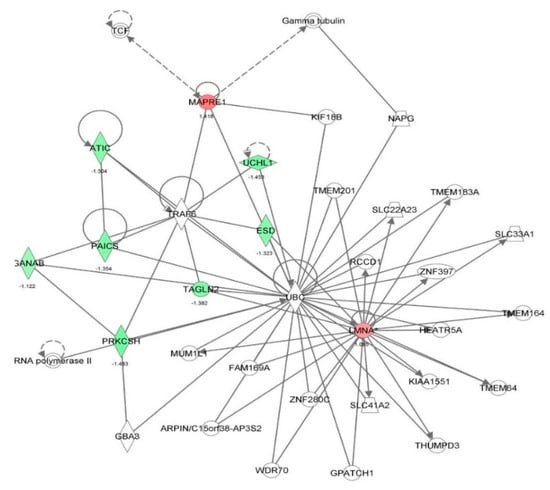 Molecules 21 00148 g024 550
