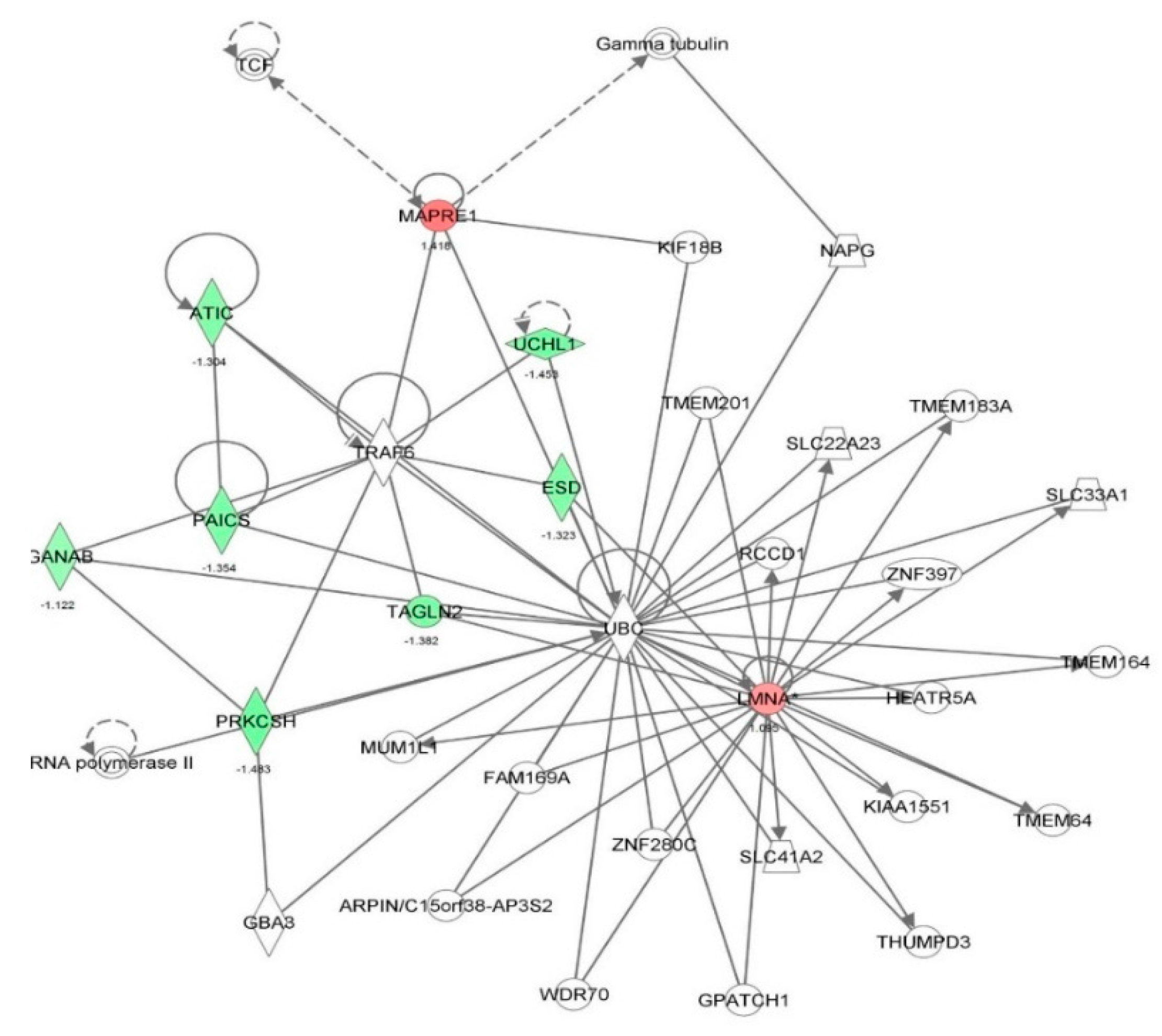 Molecules 21 00148 g024