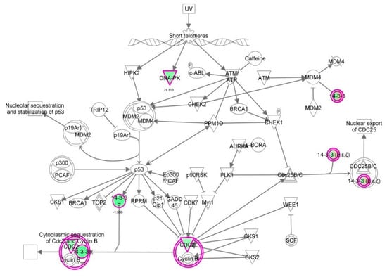 Molecules 21 00148 g027 550