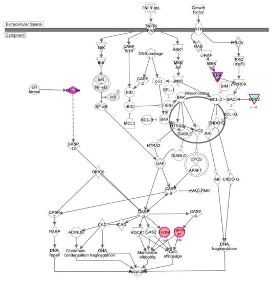 Molecules 21 00148 g028 550