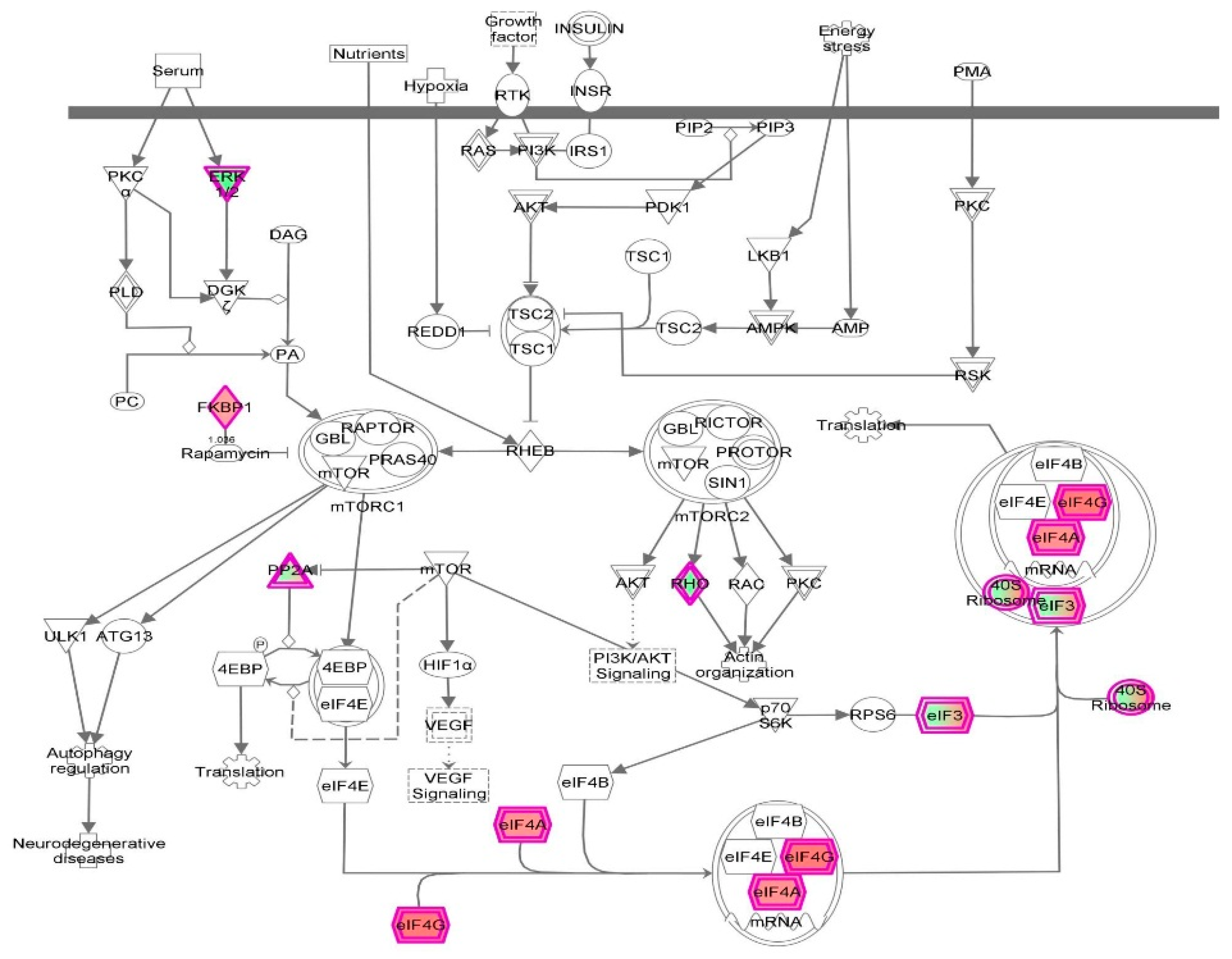 Molecules 21 00148 g030