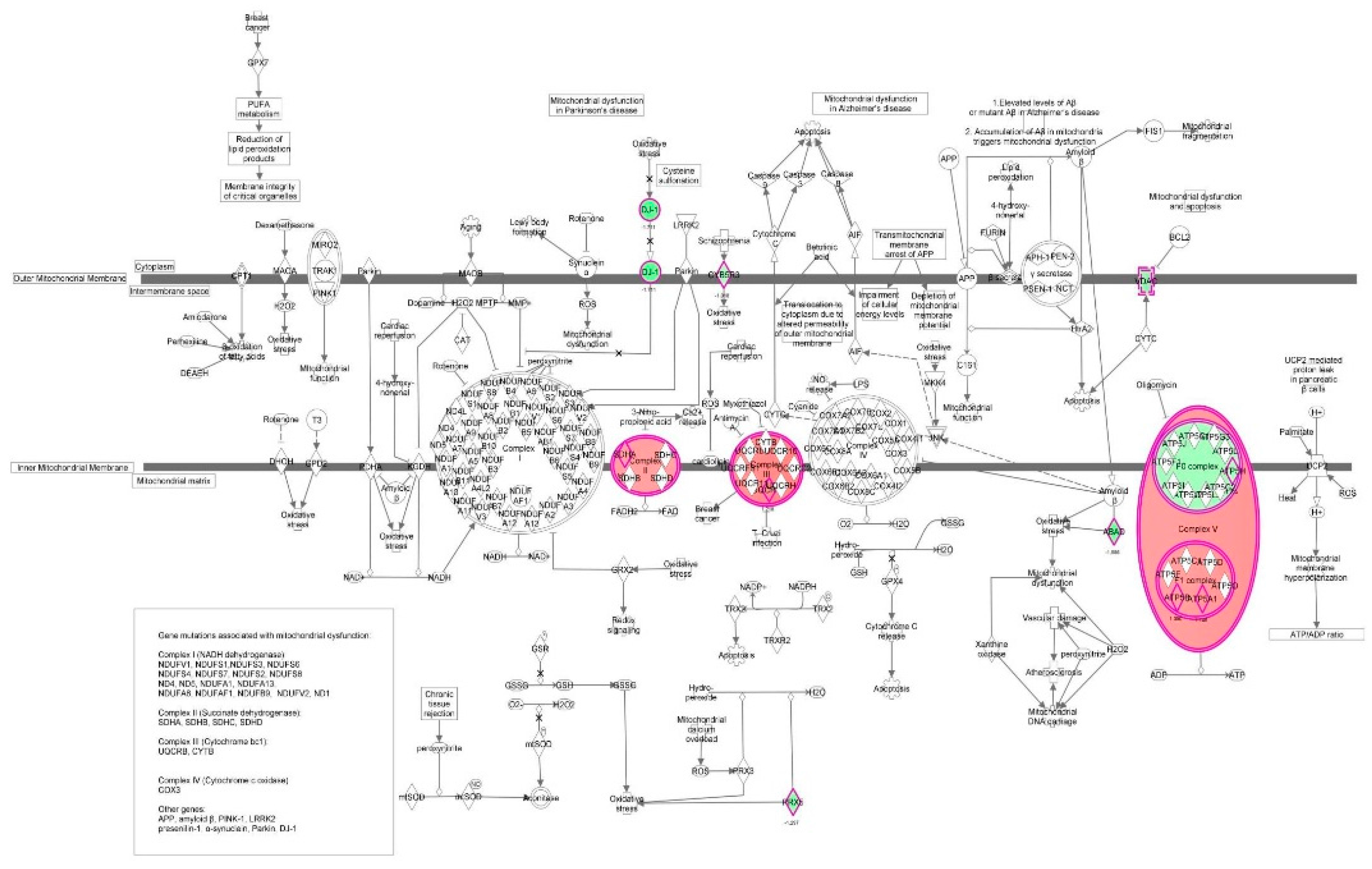 Molecules 21 00148 g031