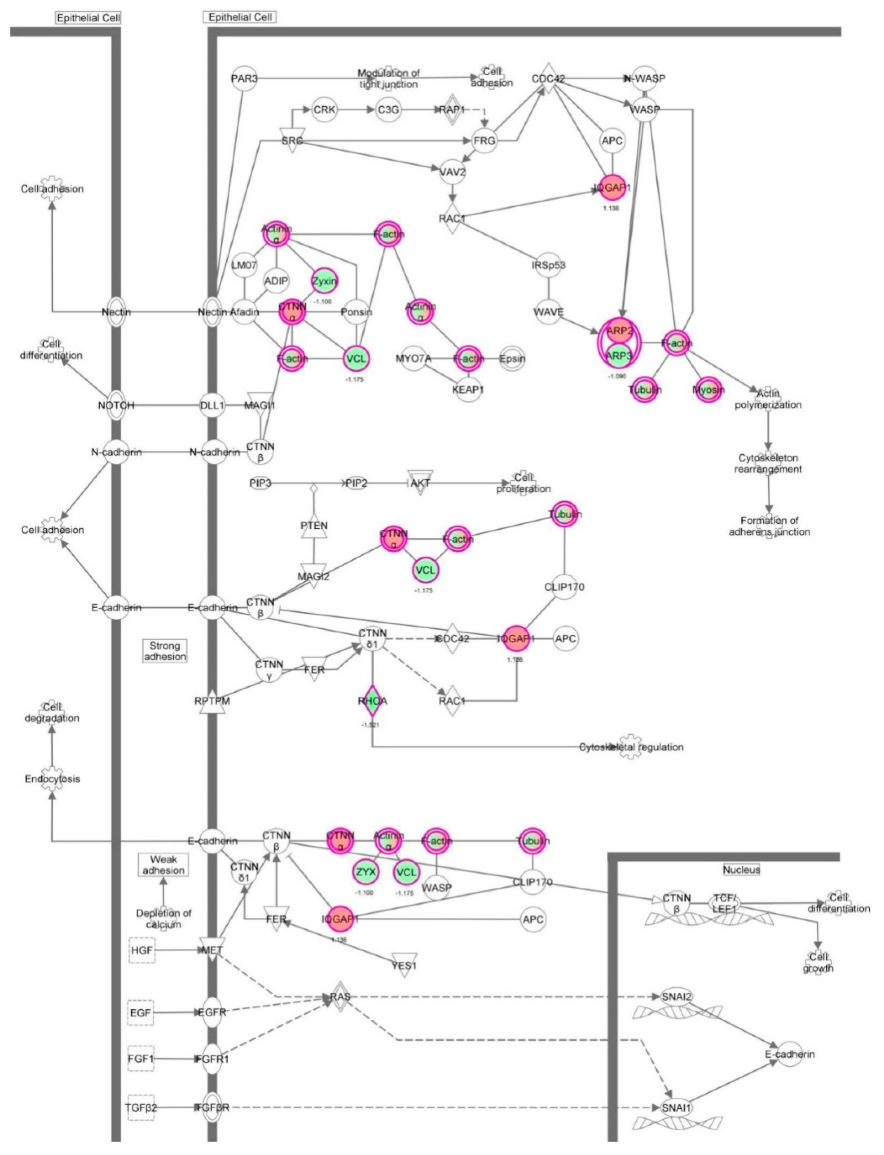 Molecules 21 00148 g032