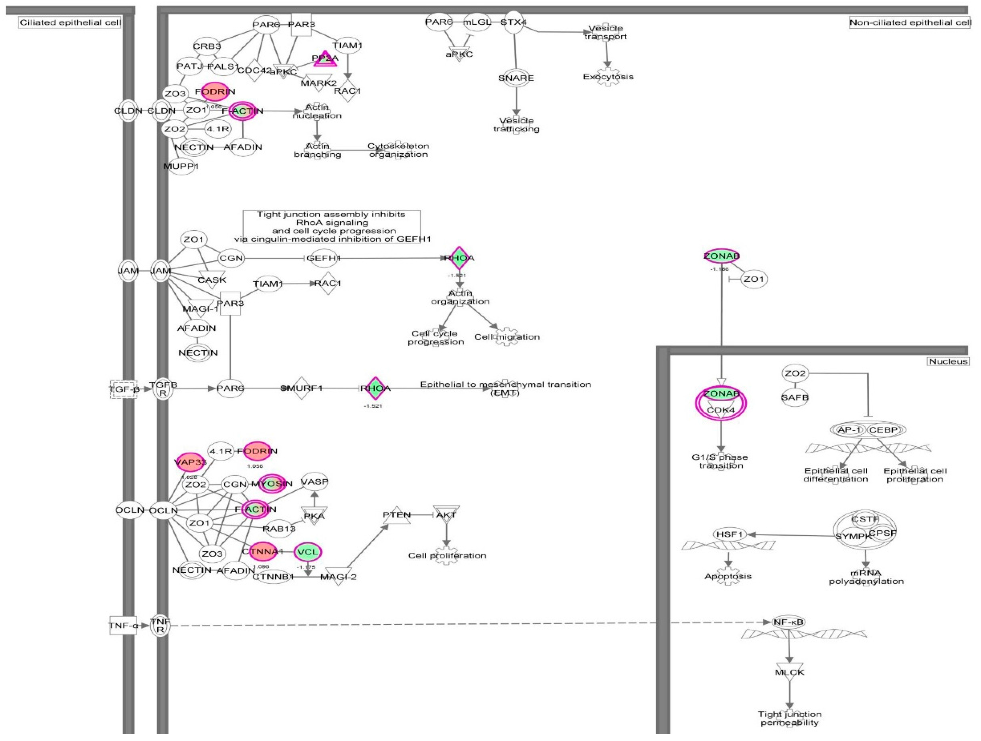 Molecules 21 00148 g033