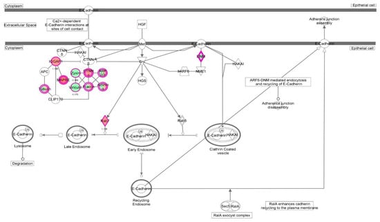Molecules 21 00148 g034 550