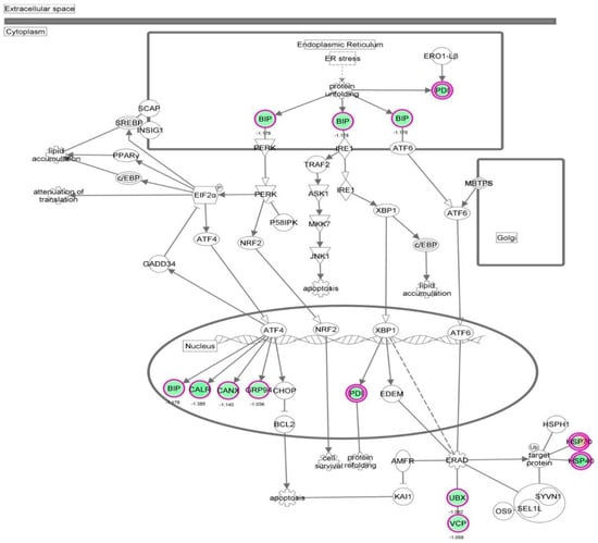 Molecules 21 00148 g035 550