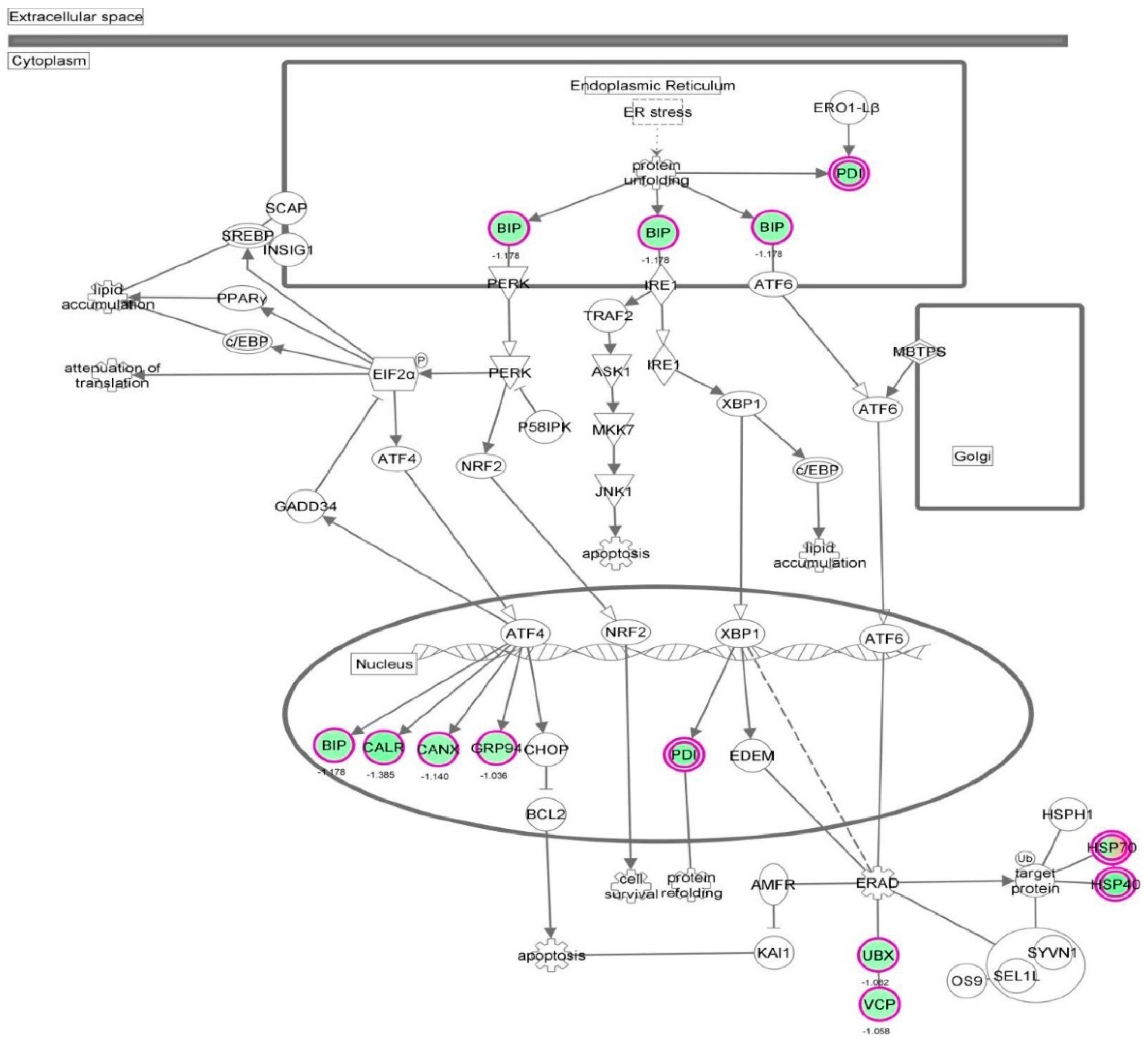 Molecules 21 00148 g035