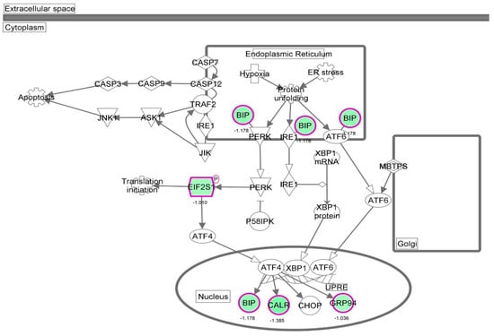 Molecules 21 00148 g036 550
