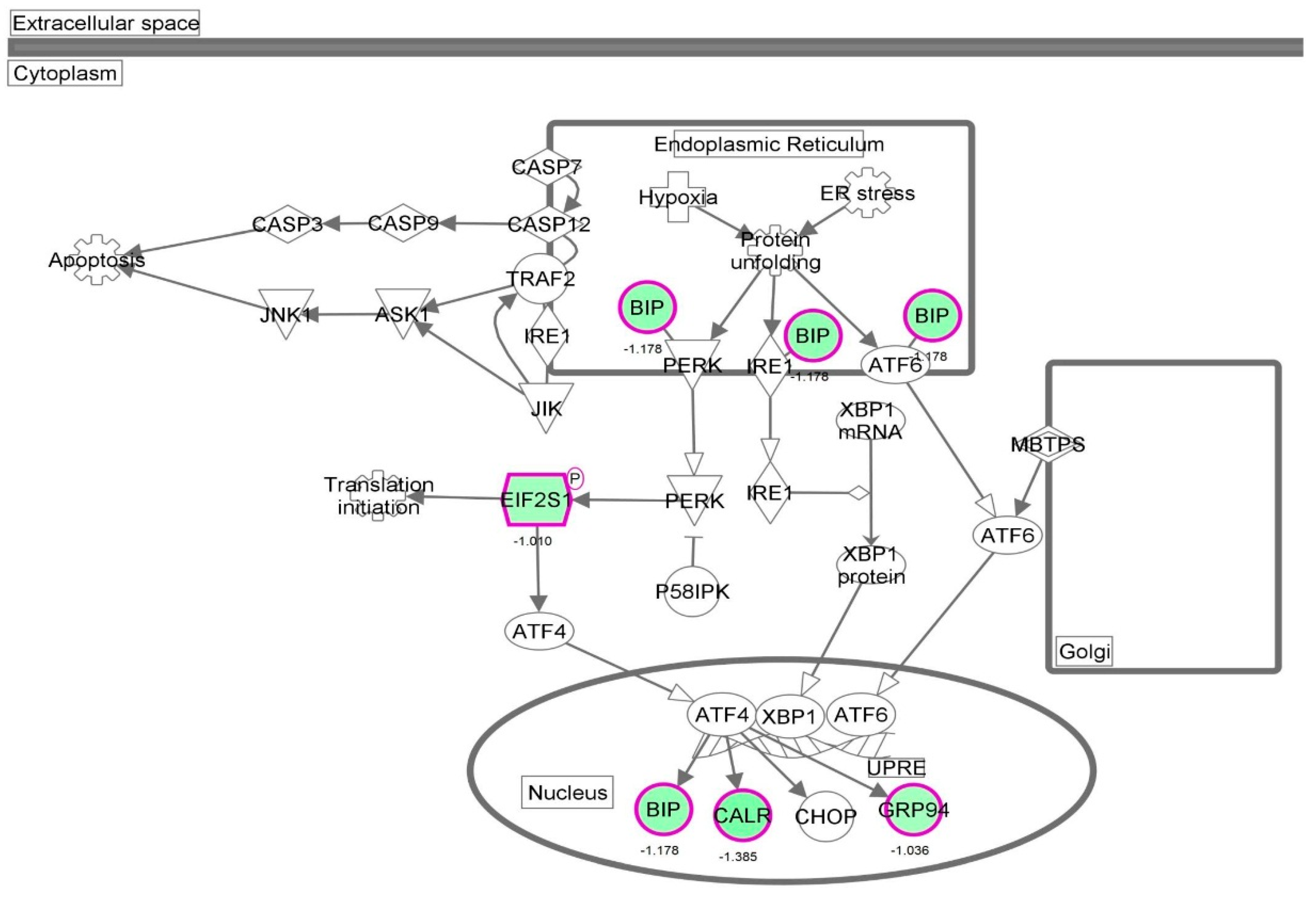 Molecules 21 00148 g036