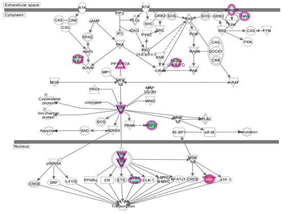 Molecules 21 00148 g037 550