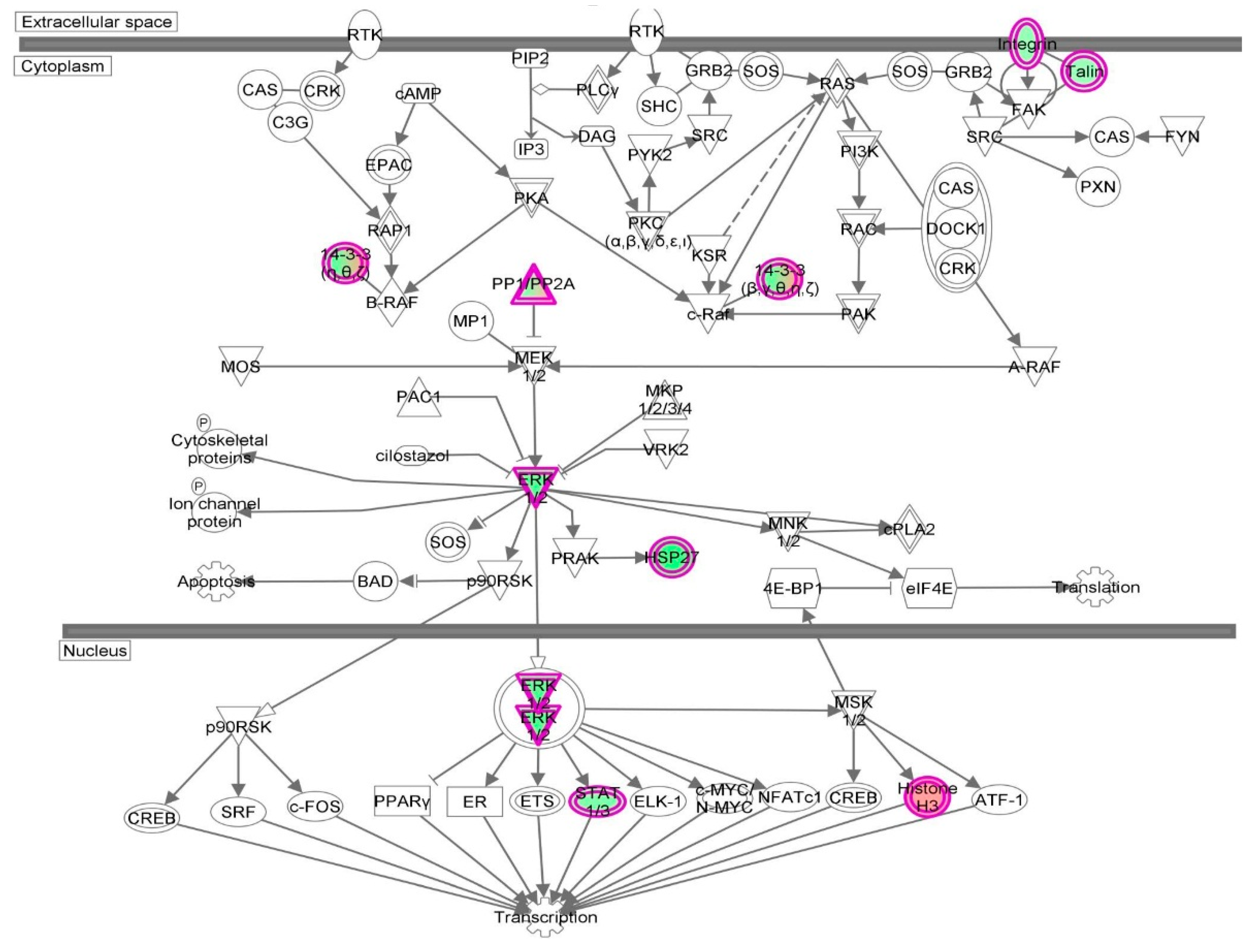 Molecules 21 00148 g037