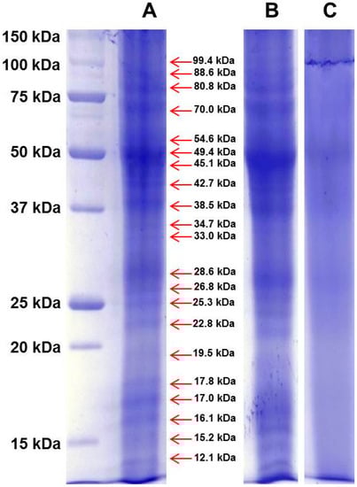 Molecules 21 00167 g001 550