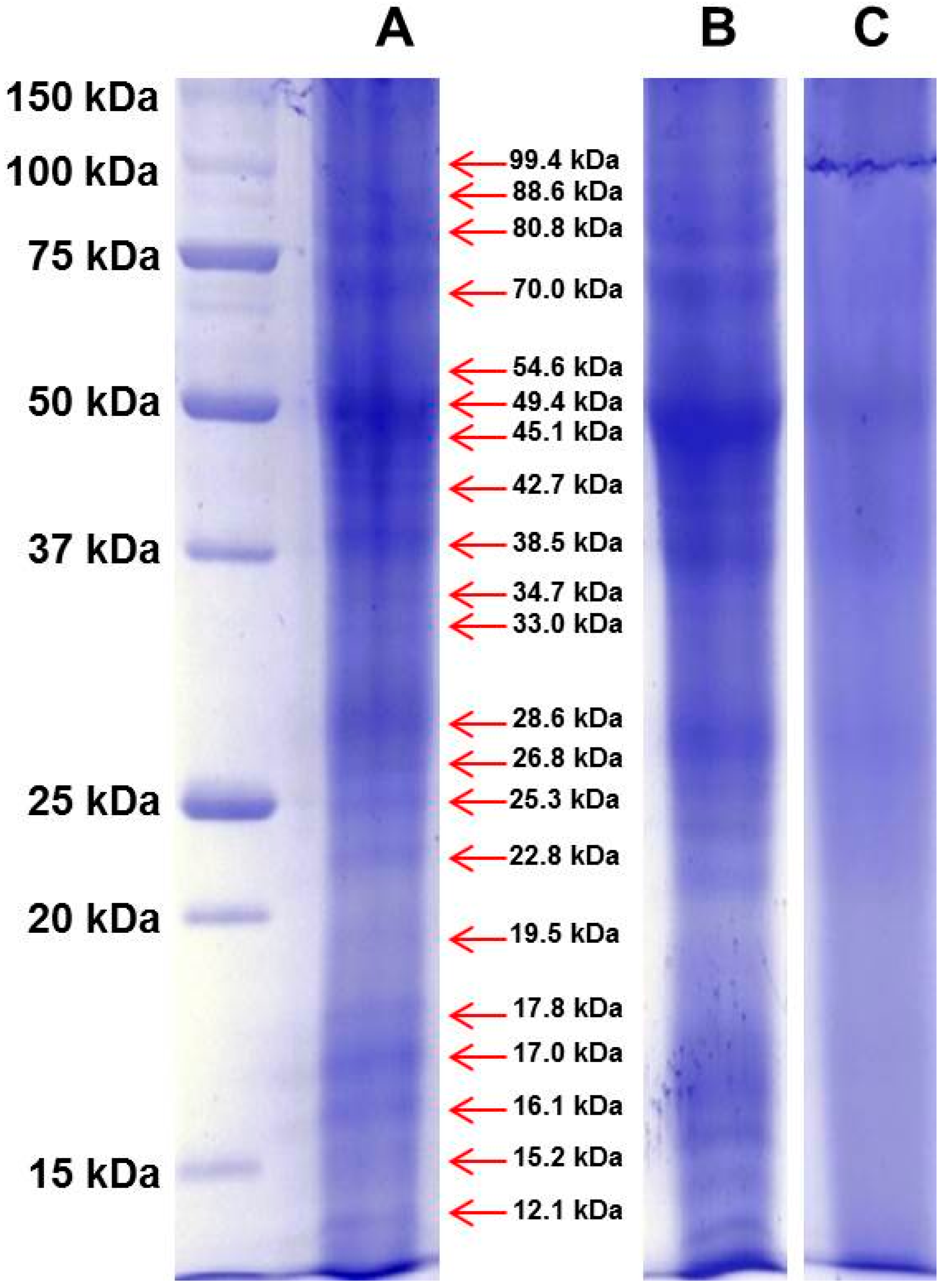 Molecules 21 00167 g001