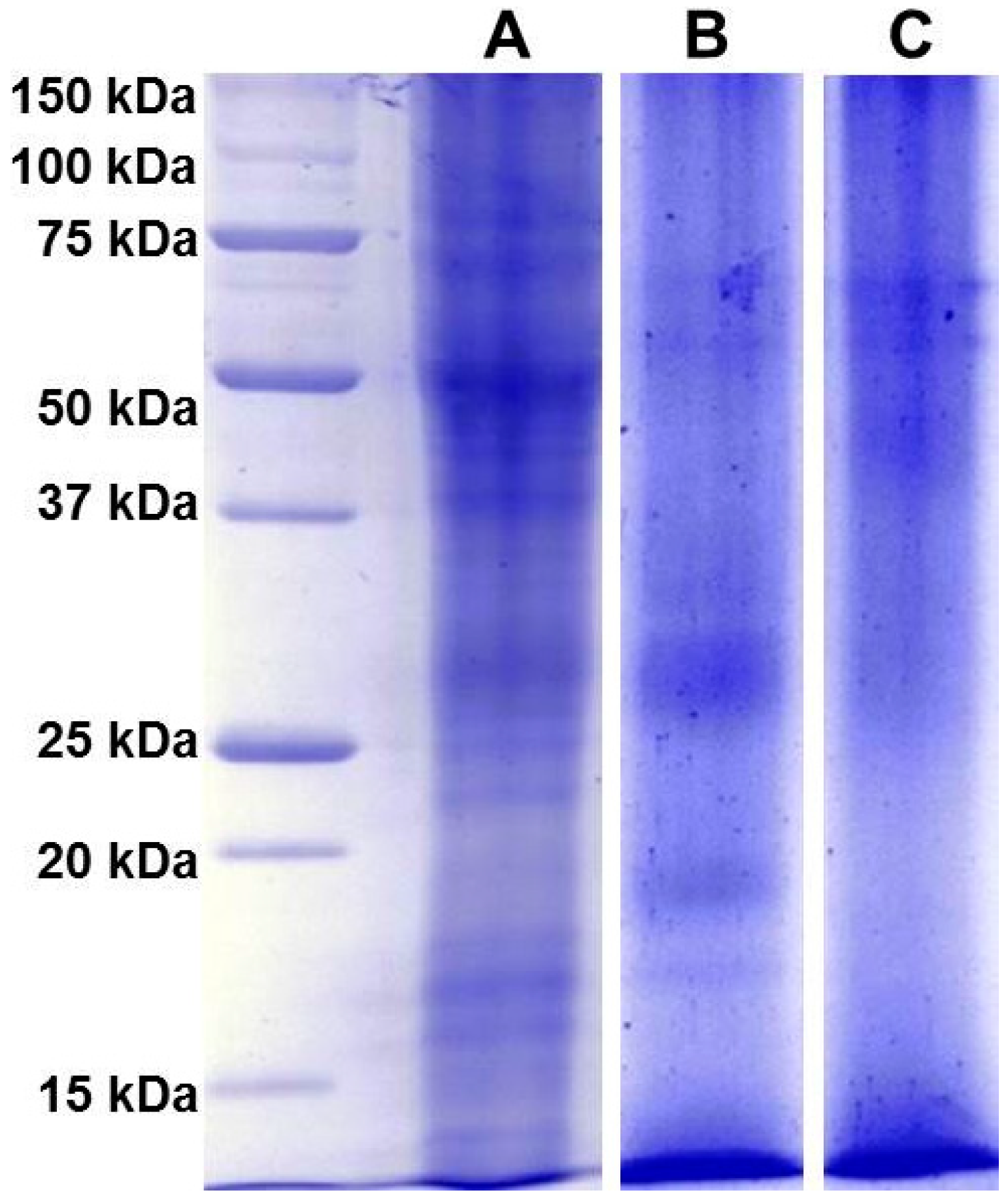 Molecules 21 00167 g005