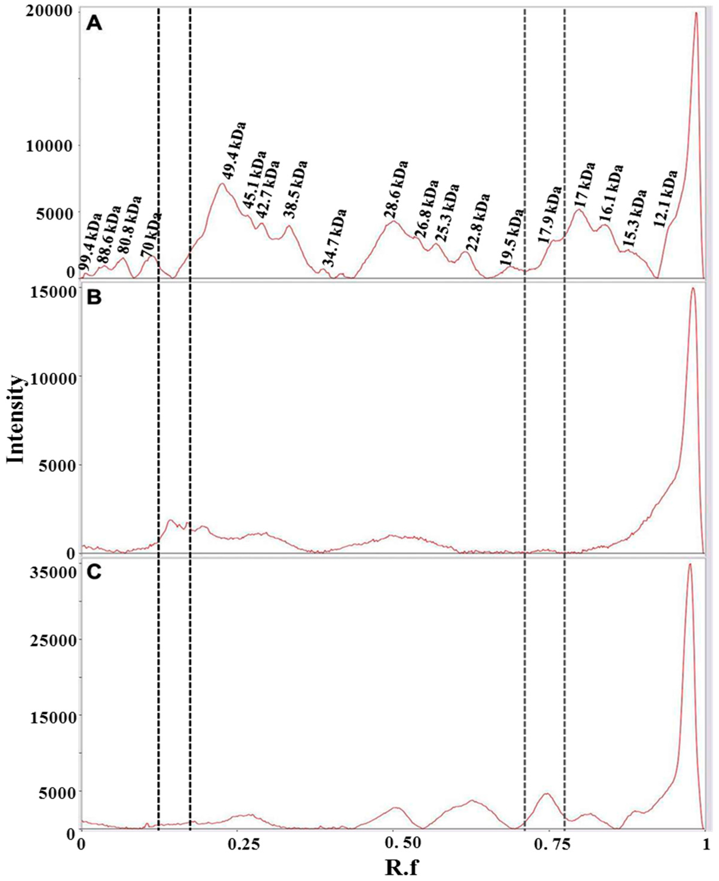 Molecules 21 00167 g006
