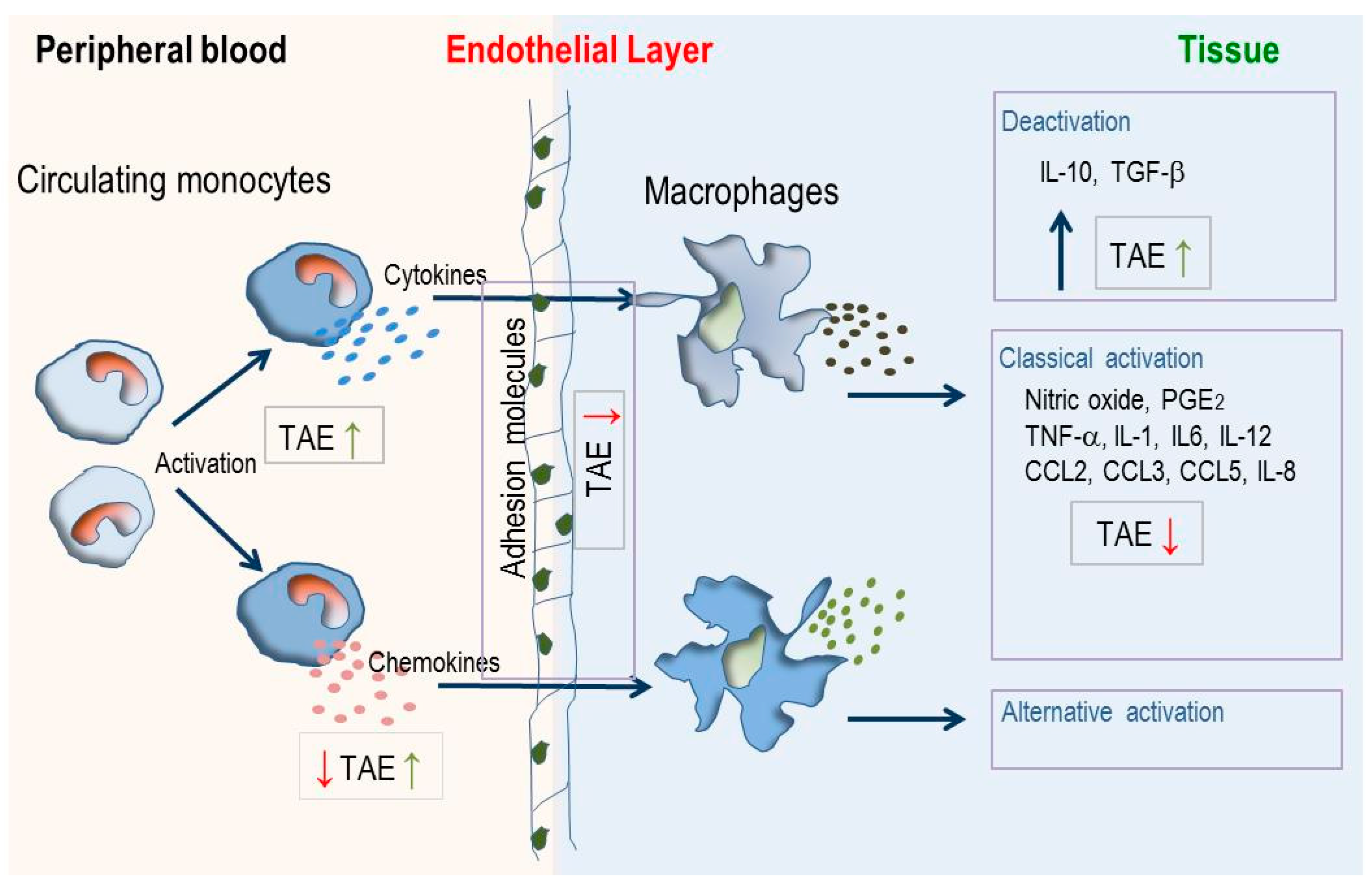 Molecules 21 00168 g008