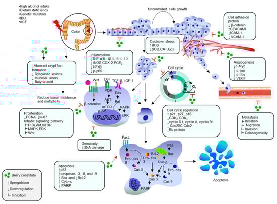 Molecules 21 00169 g001 550
