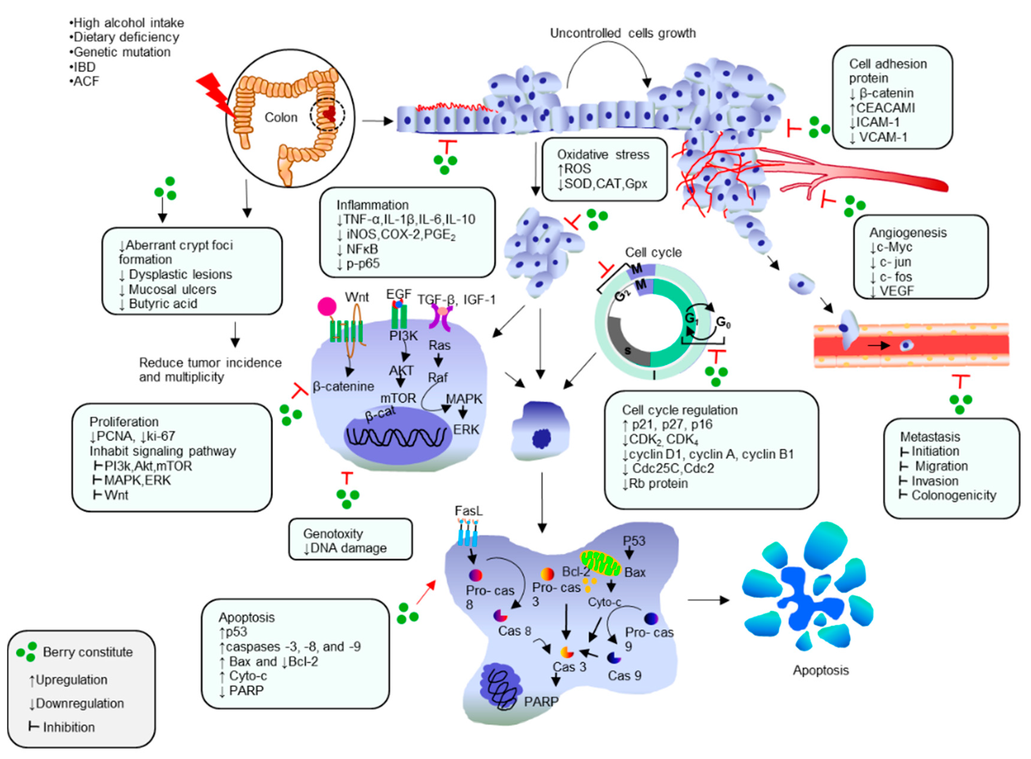Molecules 21 00169 g001