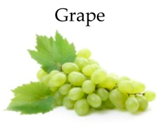 Molecules 21 00169 i003