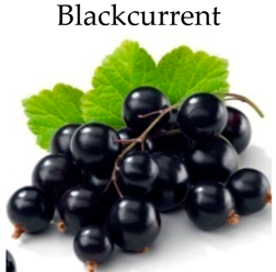 Molecules 21 00169 i009