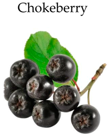 Molecules 21 00169 i010