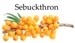 Molecules 21 00169 i012