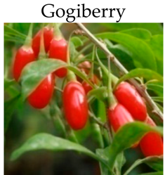 Molecules 21 00169 i016