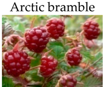 Molecules 21 00169 i019