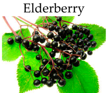 Molecules 21 00169 i020