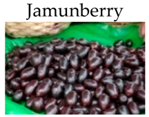 Molecules 21 00169 i021