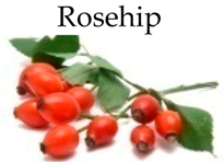 Molecules 21 00169 i022