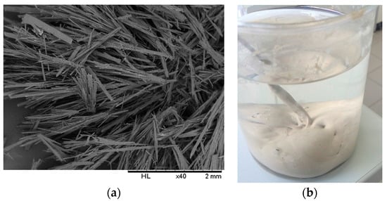 Molecules 21 00171 g001 550