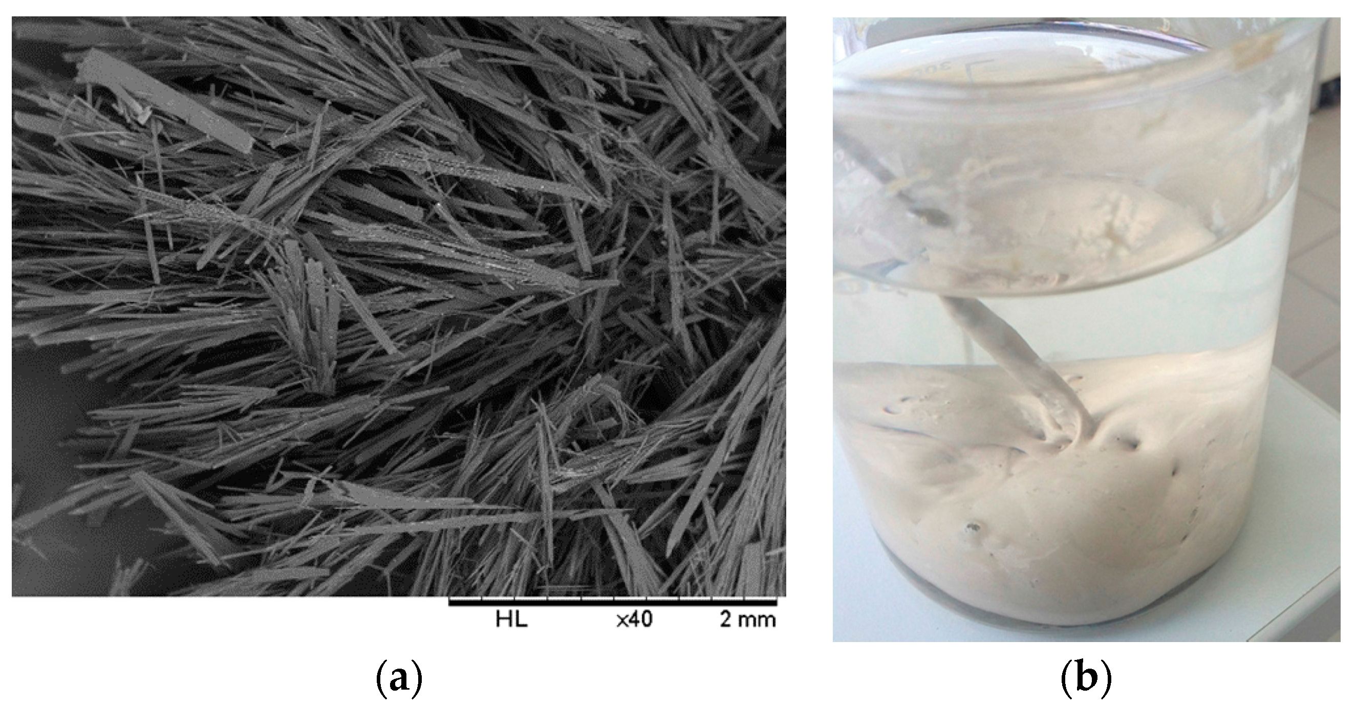 Molecules 21 00171 g001