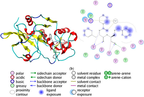 Molecules 21 00175 g001b 550