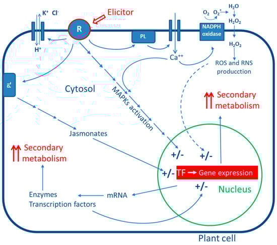 Molecules 21 00182 g001 550