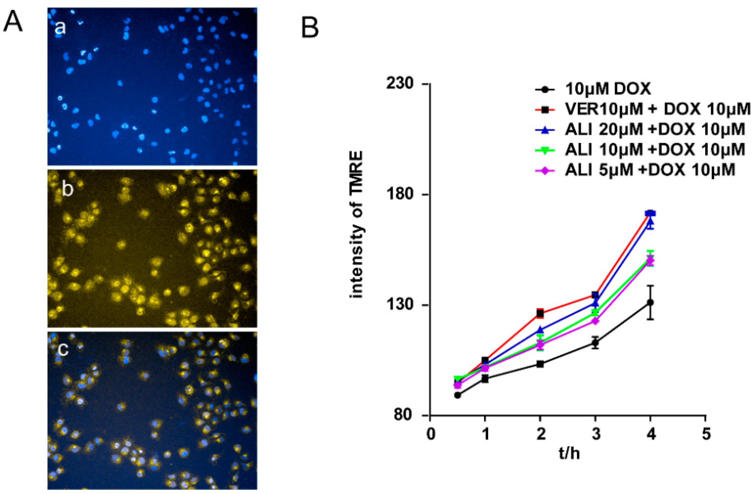 Molecules 21 00183 g008