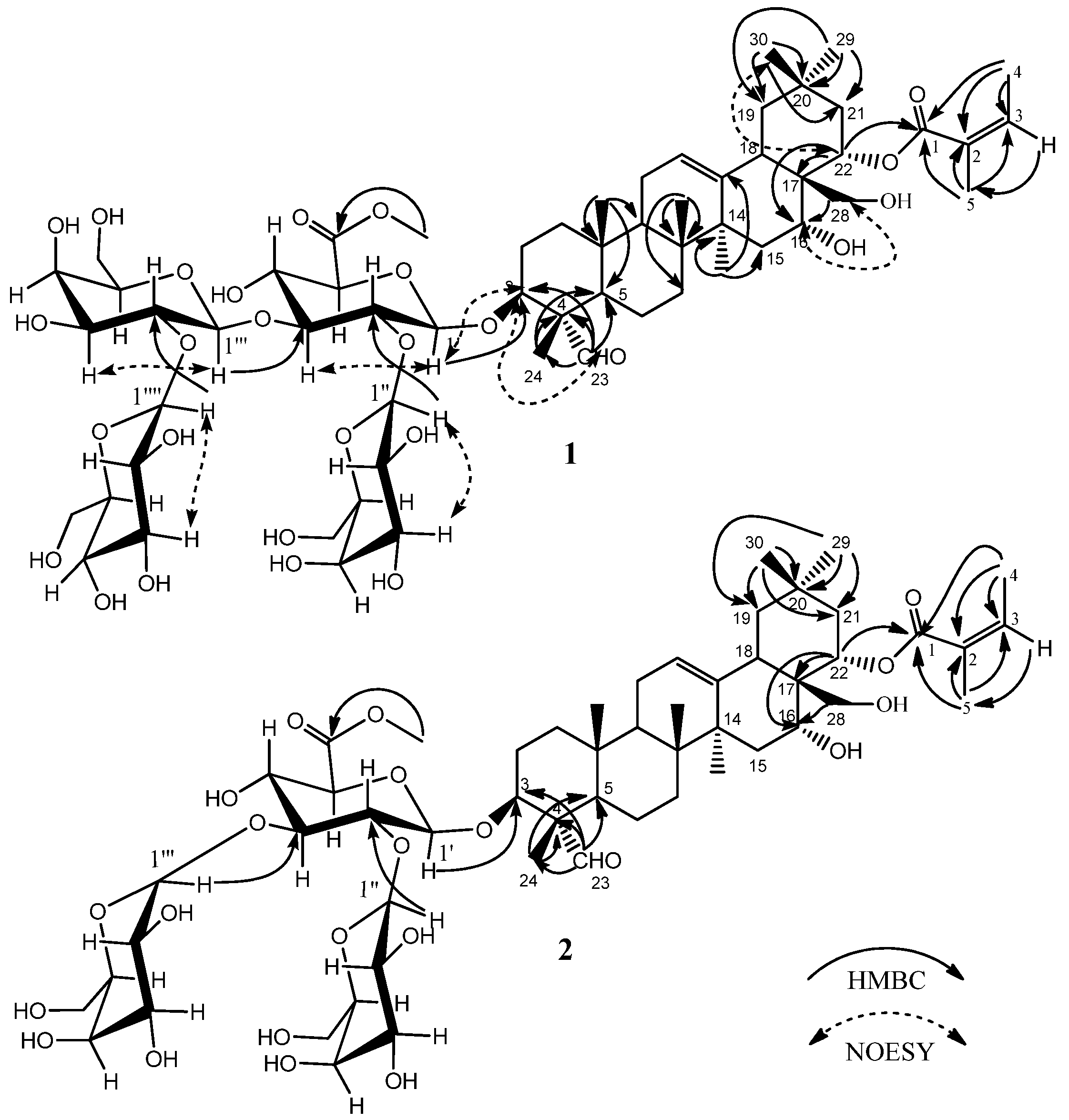 Molecules 21 00188 g002