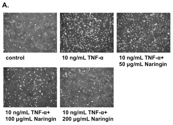 Molecules 21 00195 g002a 550