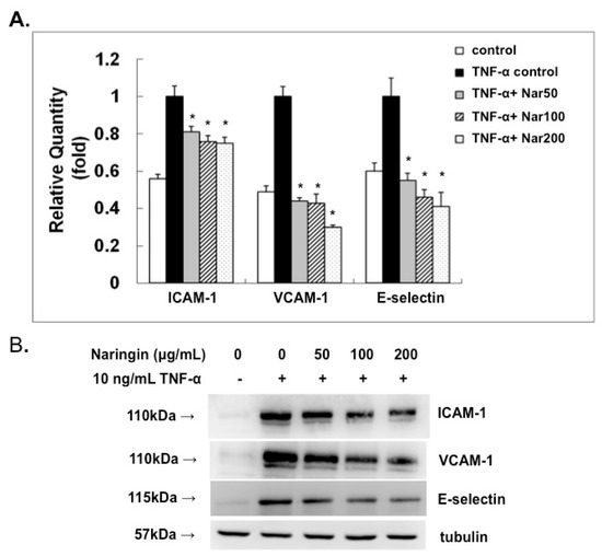 Molecules 21 00195 g003a 550
