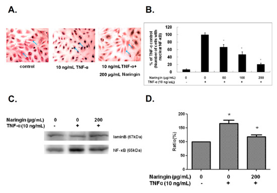 Molecules 21 00195 g005 550