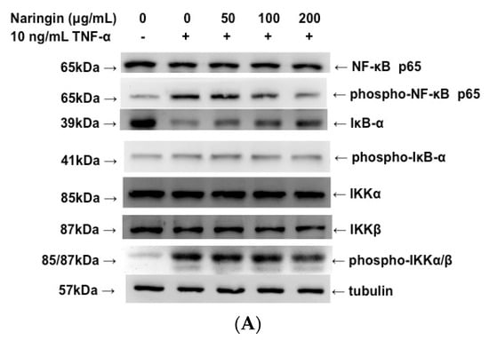 Molecules 21 00195 g006a 550