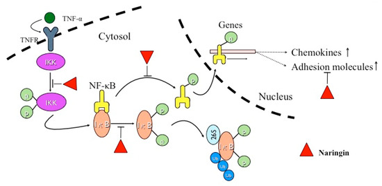 Molecules 21 00195 g007 550