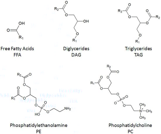 Molecules 21 00196 g005 550