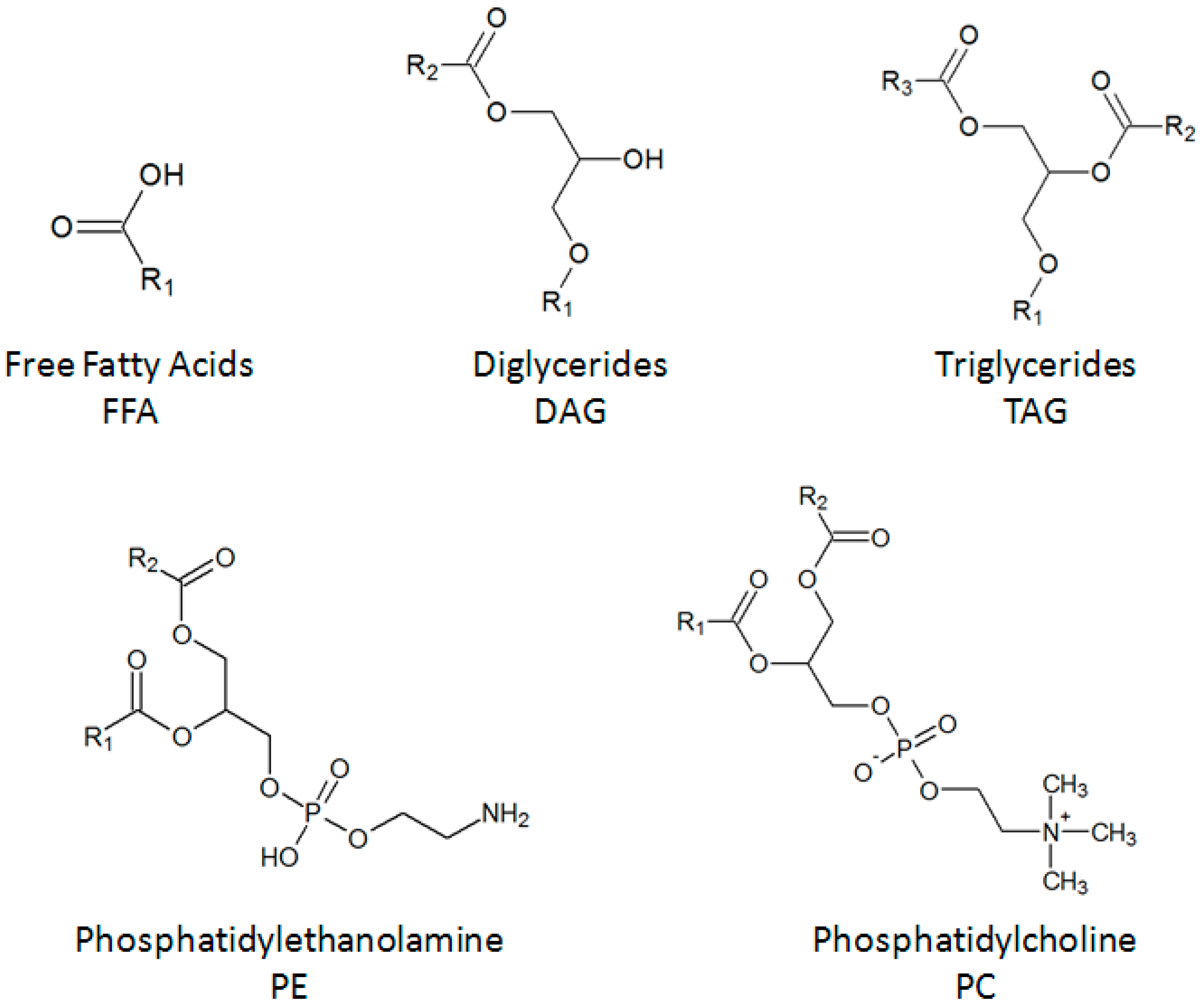 Molecules 21 00196 g005