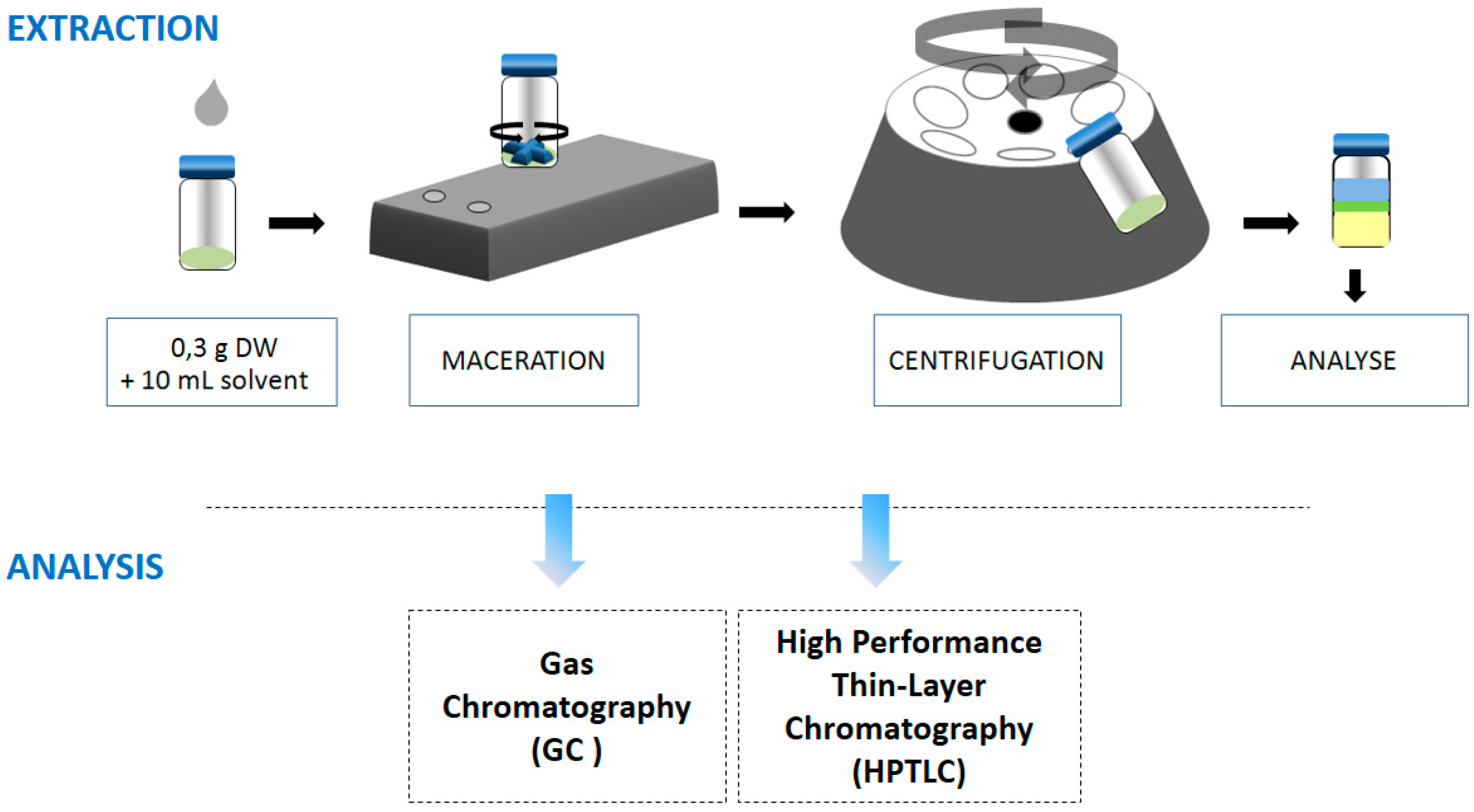 Molecules 21 00196 g006