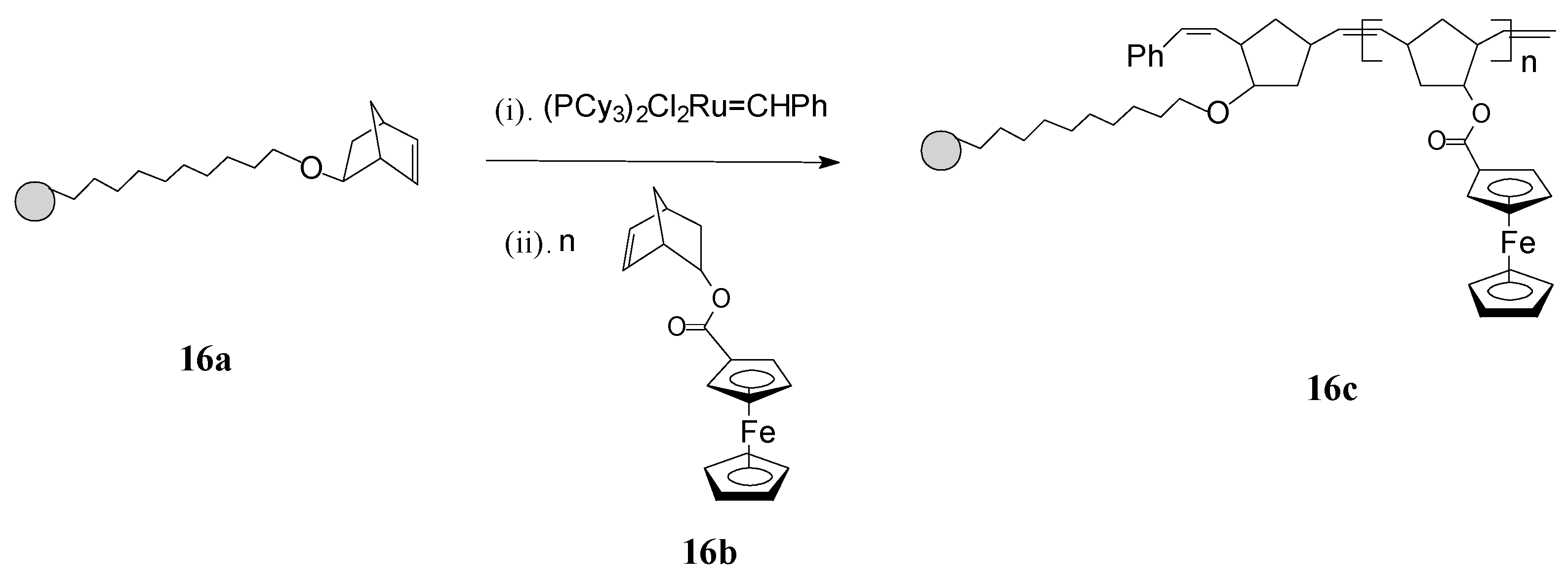Molecules 21 00198 g007